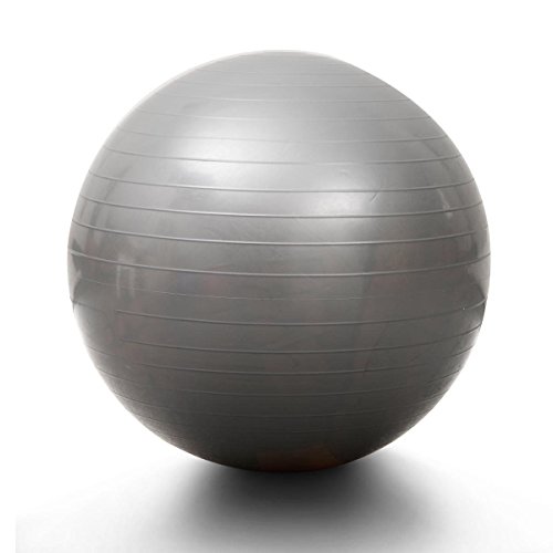 75 cm Yoga Ball Swiss Fit PVC Eco Friendly Execercise Silver
