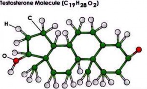 testosterone molecule 