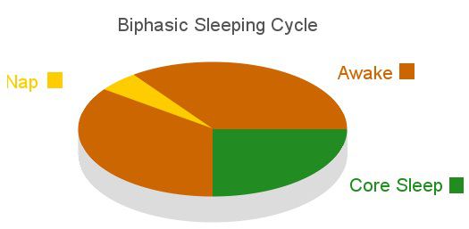 The Biphasic Sleeping Cycle