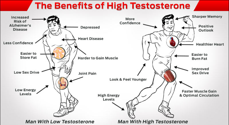 TestosteroneMan