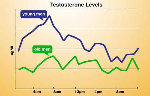 testosterone-levels