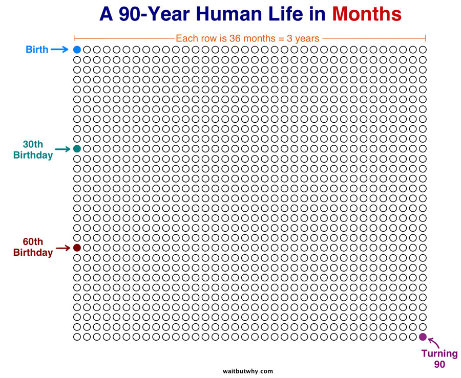 Months