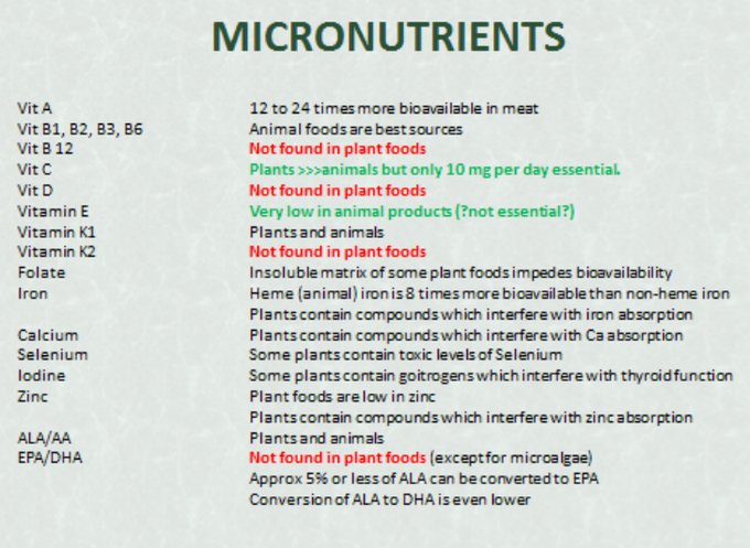 Carnivore Diet Micronutrients