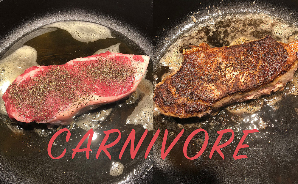 Carnivore Diet Review