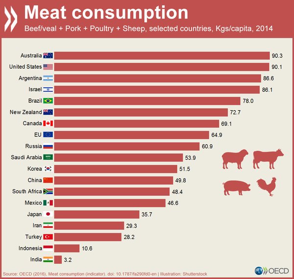 Meat Consumption Carnivore Diet