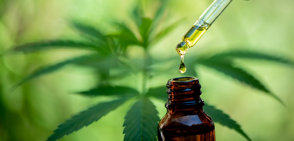 Top 4 Things To Consider Before Using Cbd Oils Lifestyle Updated