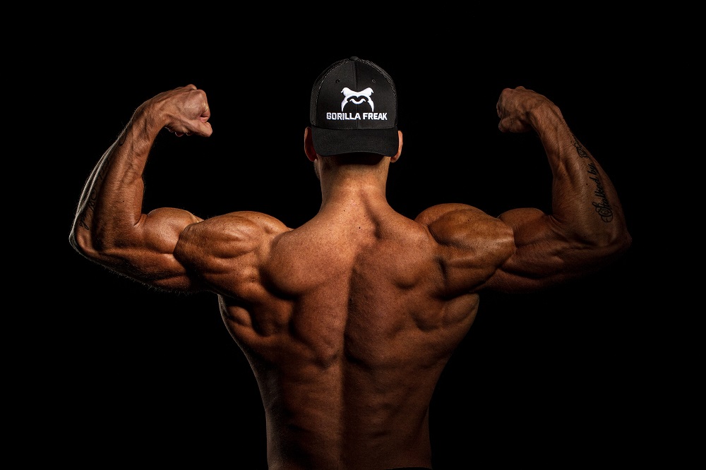 How To Increase Muscle Gains And Retention Lifestyle Updated 4